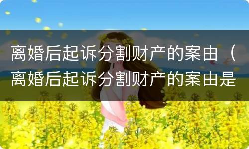 离婚后起诉分割财产的案由（离婚后起诉分割财产的案由是什么）