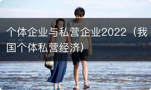个体企业与私营企业2022（我国个体私营经济）