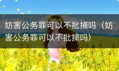 妨害公务罪可以不批捕吗（妨害公务罪可以不批捕吗）