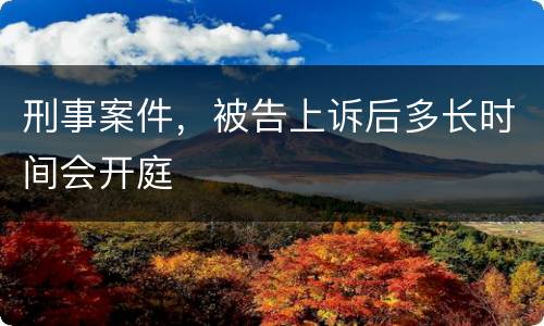 刑事案件，被告上诉后多长时间会开庭
