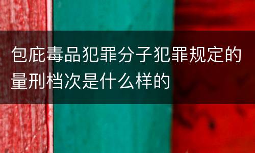 包庇毒品犯罪分子犯罪规定的量刑档次是什么样的