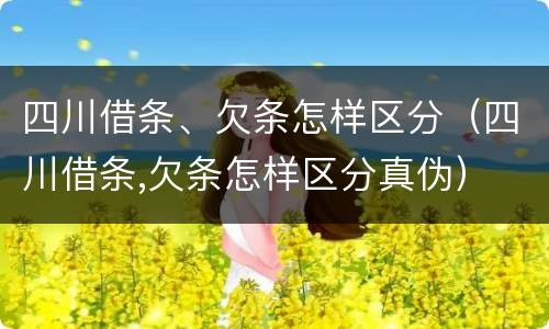 四川借条、欠条怎样区分（四川借条,欠条怎样区分真伪）