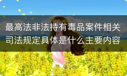 最高法非法持有毒品案件相关司法规定具体是什么主要内容