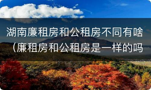 湖南廉租房和公租房不同有啥（廉租房和公租房是一样的吗）