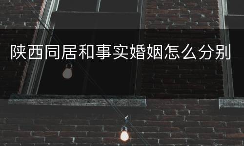 陕西同居和事实婚姻怎么分别