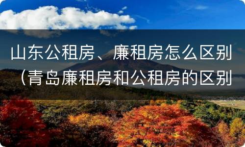 山东公租房、廉租房怎么区别（青岛廉租房和公租房的区别）