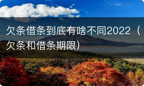 欠条借条到底有啥不同2022（欠条和借条期限）