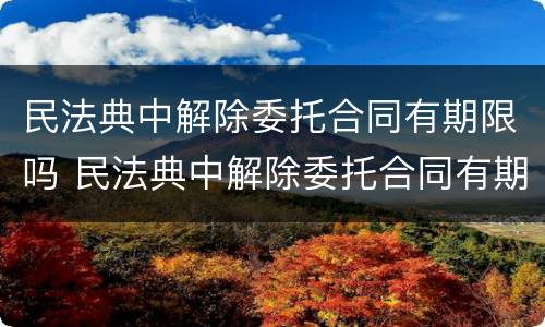 民法典中解除委托合同有期限吗 民法典中解除委托合同有期限吗