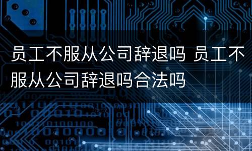 员工不服从公司辞退吗 员工不服从公司辞退吗合法吗