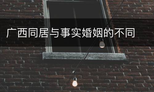 广西同居与事实婚姻的不同