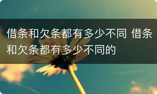 借条和欠条都有多少不同 借条和欠条都有多少不同的