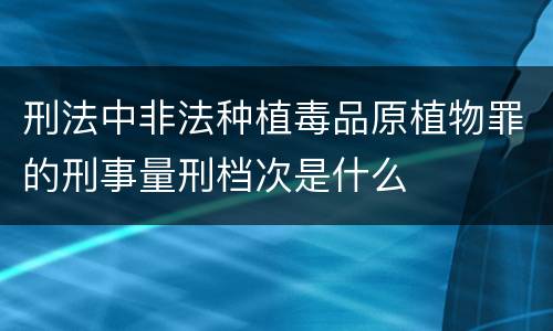 刑法中非法种植毒品原植物罪的刑事量刑档次是什么