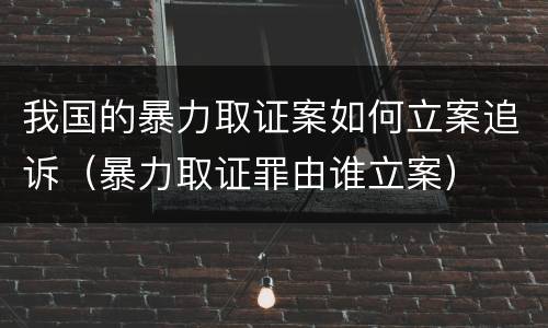 我国的暴力取证案如何立案追诉（暴力取证罪由谁立案）