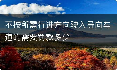 不按所需行进方向驶入导向车道的需要罚款多少
