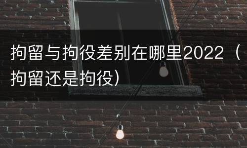 拘留与拘役差别在哪里2022（拘留还是拘役）