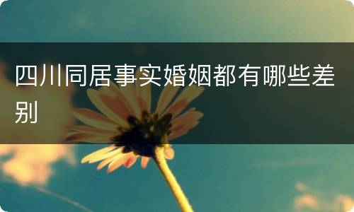 四川同居事实婚姻都有哪些差别