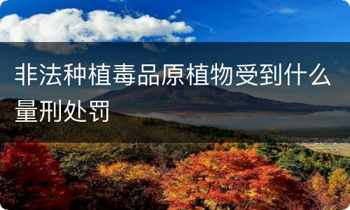 非法种植毒品原植物受到什么量刑处罚