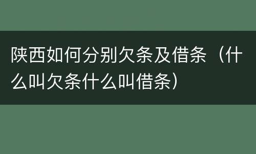 陕西如何分别欠条及借条（什么叫欠条什么叫借条）