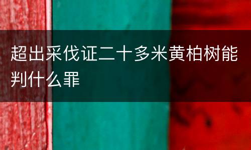 超出采伐证二十多米黄柏树能判什么罪