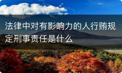 法律中对有影响力的人行贿规定刑事责任是什么
