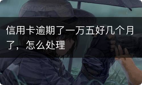 信用卡逾期了一万五好几个月了，怎么处理