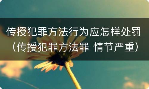 传授犯罪方法行为应怎样处罚（传授犯罪方法罪 情节严重）