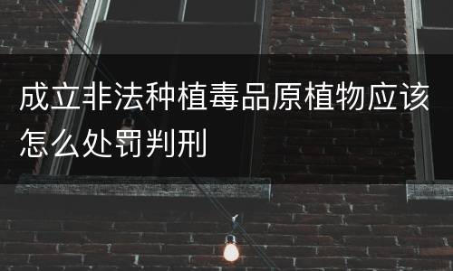 成立非法种植毒品原植物应该怎么处罚判刑