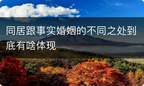 同居跟事实婚姻的不同之处到底有啥体现