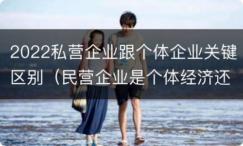 2022私营企业跟个体企业关键区别（民营企业是个体经济还是私营经济）
