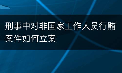 刑事中对非国家工作人员行贿案件如何立案