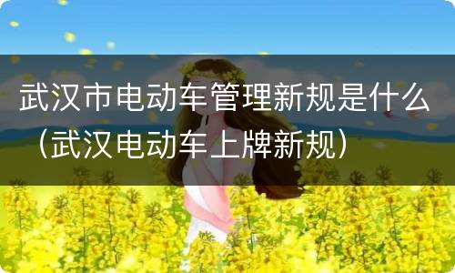 武汉市电动车管理新规是什么（武汉电动车上牌新规）