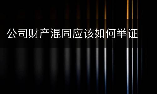 公司财产混同应该如何举证