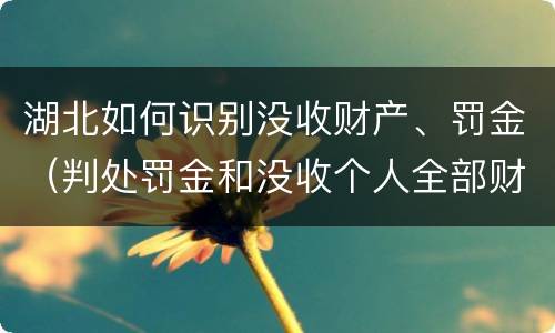 湖北如何识别没收财产、罚金（判处罚金和没收个人全部财产如何执行）