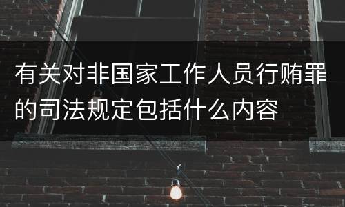 有关对非国家工作人员行贿罪的司法规定包括什么内容