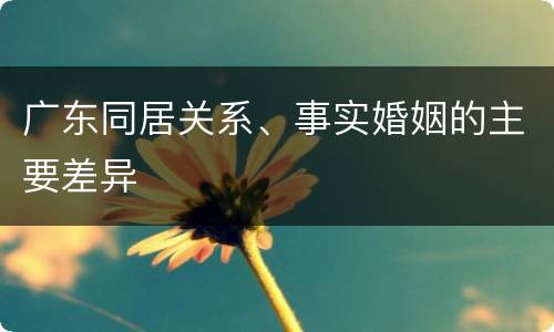 广东同居关系、事实婚姻的主要差异