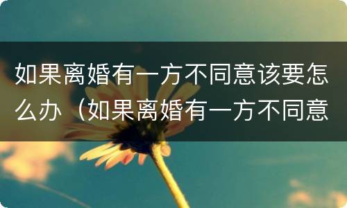 如果离婚有一方不同意该要怎么办（如果离婚有一方不同意该要怎么办呢）