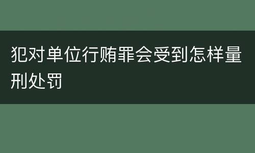 犯对单位行贿罪会受到怎样量刑处罚