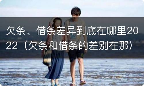 欠条、借条差异到底在哪里2022（欠条和借条的差别在那）