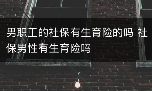 男职工的社保有生育险的吗 社保男性有生育险吗