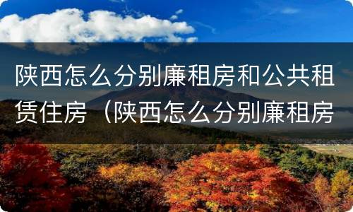 陕西怎么分别廉租房和公共租赁住房（陕西怎么分别廉租房和公共租赁住房呢）