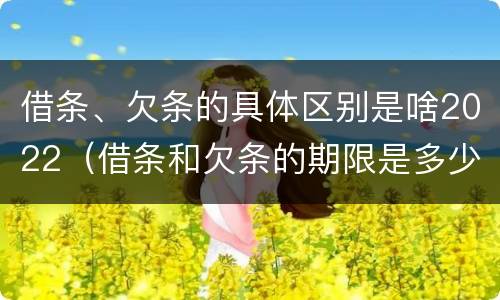 借条、欠条的具体区别是啥2022（借条和欠条的期限是多少）