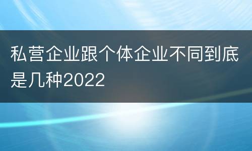 私营企业跟个体企业不同到底是几种2022
