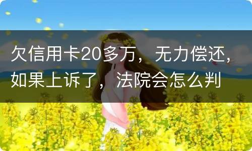 欠信用卡20多万,无力偿还,如果上诉了,法院会怎么判