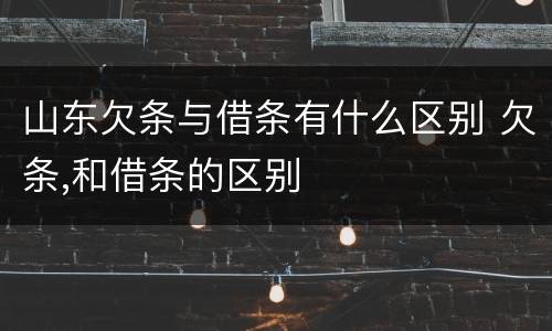 山东欠条与借条有什么区别 欠条,和借条的区别