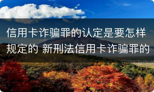 信用卡诈骗罪的认定是要怎样规定的 新刑法信用卡诈骗罪的定罪标准?