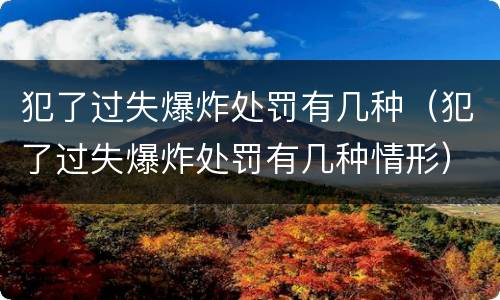 犯了过失爆炸处罚有几种（犯了过失爆炸处罚有几种情形）