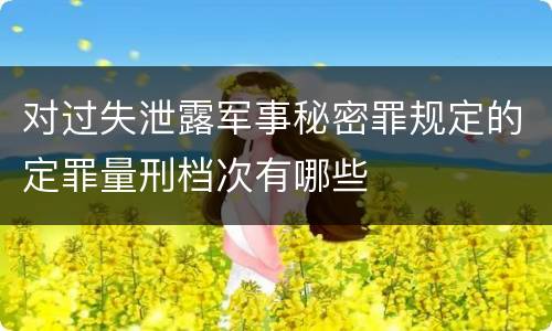 对过失泄露军事秘密罪规定的定罪量刑档次有哪些