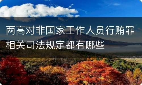 两高对非国家工作人员行贿罪相关司法规定都有哪些