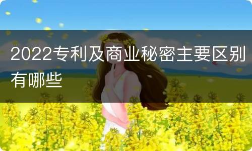 2022专利及商业秘密主要区别有哪些