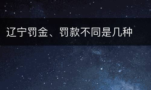 辽宁罚金、罚款不同是几种
